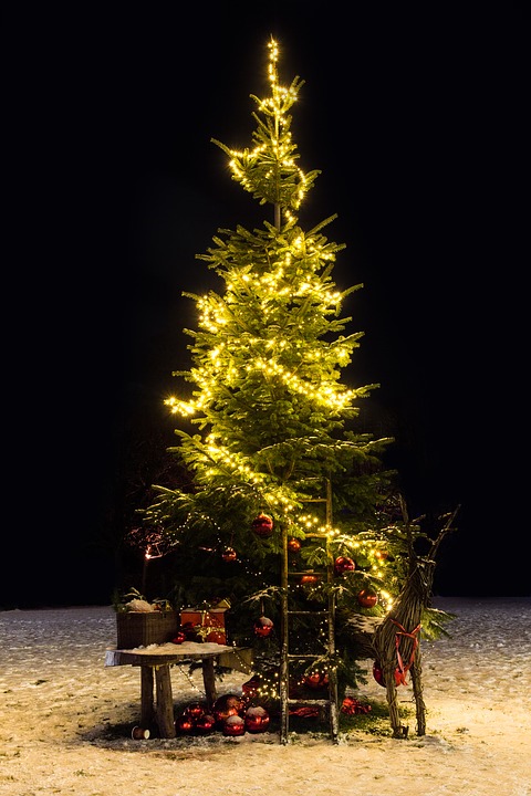 christmas-tree-3009740_960_720